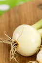 Closeup macro young fresh onions