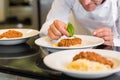 Closeup of a male chef garnishing food Royalty Free Stock Photo