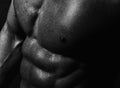 Closeup of male delightful torso Royalty Free Stock Photo