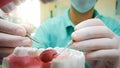 Closeup image of male dentist inspecting teeth with mirror and special dental instrument