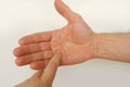 closeup of male hand of adult mature man in gesture fingers holding, palm reading, shows, open palm on white background, concept
