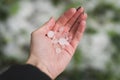Closeup male hand holding hailstones after hailstorm Royalty Free Stock Photo