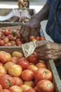 Male hand holding money against tomatoes in an open market in Cu Royalty Free Stock Photo