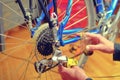 Closeup of male hands cleaning and oiling a bicycle chain and gear with oil. Man maintaining his bicycle for the new Royalty Free Stock Photo