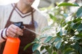 Closeup of man gardener spraying plants using water pulverizer