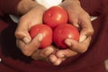 Closeup of a man holding a bunch of tomatoes Royalty Free Stock Photo