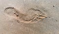 Closeup man footprint on wet beach sand Royalty Free Stock Photo