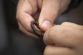 Closeup of man`s hands baiting a fishing hook with black lugworm Royalty Free Stock Photo