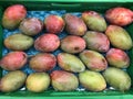 Closeup mango fruits in a box, food concept