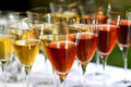 Closeup of many glasses of red and white wine. Royalty Free Stock Photo