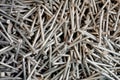 Closeup of many iron nails