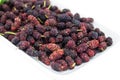 closeup many mulberry on white cup isolated