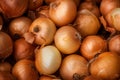 Closeup many onions. Generate AI