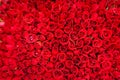 Closeup on many red rose flower petal. Ideal as background Royalty Free Stock Photo