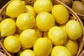 Closeup of many yellow lemon fruits