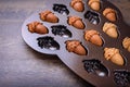 Closeup of Maple Acorn Cakelets, acorn shape cookies in a baking pan, mold. Royalty Free Stock Photo