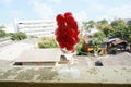 Closeup of maraschino cherries on a champagne glass Royalty Free Stock Photo