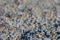 Closeup marine pebbles on a sea coast