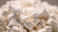 Closeup of marshmallows ready for a campfire.. Royalty Free Stock Photo