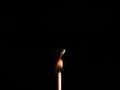Closeup Match burning and combusting on black background. Burning match stick. Royalty Free Stock Photo
