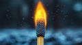 Closeup of match head on fire Royalty Free Stock Photo