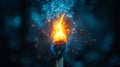 Closeup of match head on fire Royalty Free Stock Photo