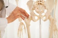 Closeup on medical doctor woman pointing on femur