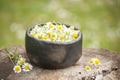 Closeup of medicinal plants- fresh blossoms of chamomile for healthy tea in mug of black pottery