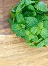 closeup Mentha spicata, popularly known as spearmint, spearmint or mint from organically grown garden, isolated