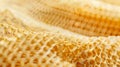 A closeup of a meshlike material with a honeycomb pattern and a series of small holes. This biocompatible material is