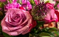 Closeup of mesmerizing pink roses with lush petals in a bouquet