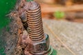 Closeup of metal bolt and nut spot Royalty Free Stock Photo