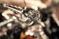 closeup of metal car detail chome part Royalty Free Stock Photo