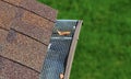 Closeup of a metal filter on a gutter.