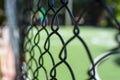 Closeup of metal rabitz grid. Mesh texture against green meadow. Royalty Free Stock Photo