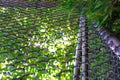 Closeup of metal rabitz grid. Mesh texture against green meadow. Royalty Free Stock Photo