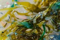 closeup of microplastics entangled in seaweed