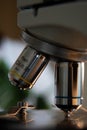 Closeup of a microscope lens pointing at a specimen Royalty Free Stock Photo