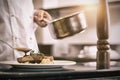 Closeup mid section of a chef garnishing food Royalty Free Stock Photo