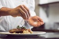 Closeup mid section of a chef putting salt Royalty Free Stock Photo