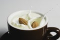Closeup milk splash with almonds nut on white background