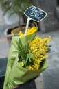 mimosa bouquet at the florist in the street with text Royalty Free Stock Photo