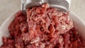 Closeup of minced meat coming out of electric grinder and falling in bowl. Cooking at home, kitchen appliance, healthy nutrition, Royalty Free Stock Photo