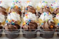 Closeup mini chocolate and vanilla cupcakes