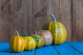 Closeup of mini Pumpkins in a line on Rustic dark Royalty Free Stock Photo