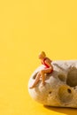 Miniature woman in swimsuit on a rock