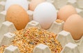 Closeup of a mix of bird food on an egg carton Royalty Free Stock Photo
