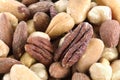 Closeup Mix of Roasted and Salted Nuts