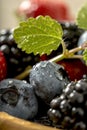 Closeup of mixed berry fruits Royalty Free Stock Photo