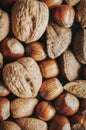 Closeup of mixed nuts Royalty Free Stock Photo